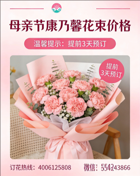 湛江廉江市花店母亲节康乃馨花束
