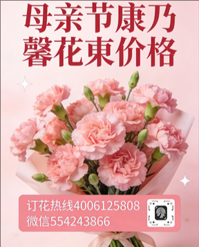 湛江廉江市花店母亲节康乃馨花束